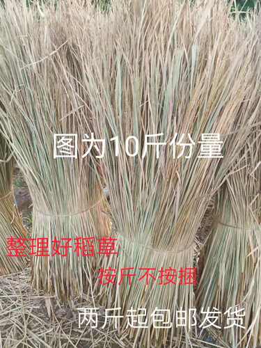 农家乐 屋顶装饰 稻草 摄影装饰手工 稻草垛 保温稻草帘 大棚草席 - 图0