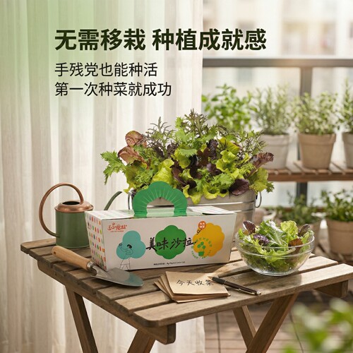 IAM 儿童种植盆栽番茄黄瓜植物观察日记阳台种菜 进口土壤免移栽 - 图0