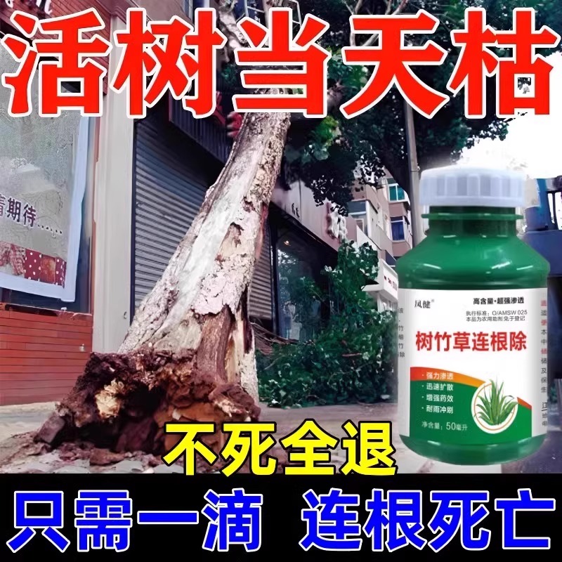 大树烂根药大树一滴死烂树根剂除树强力除草灭竹子枯树药专用神器 - 图3