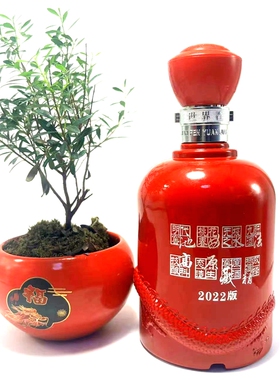 古井贡酒空瓶古20古16空酒瓶摆件装饰酒店养酒店成列