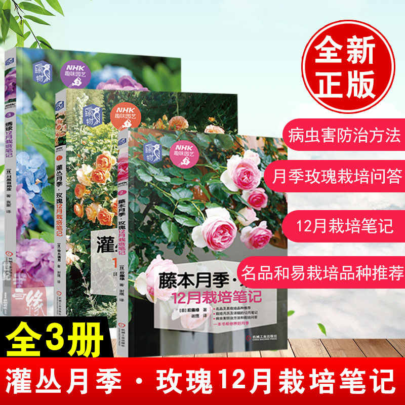月季种植技术 新人首单立减十元 21年7月 淘宝海外