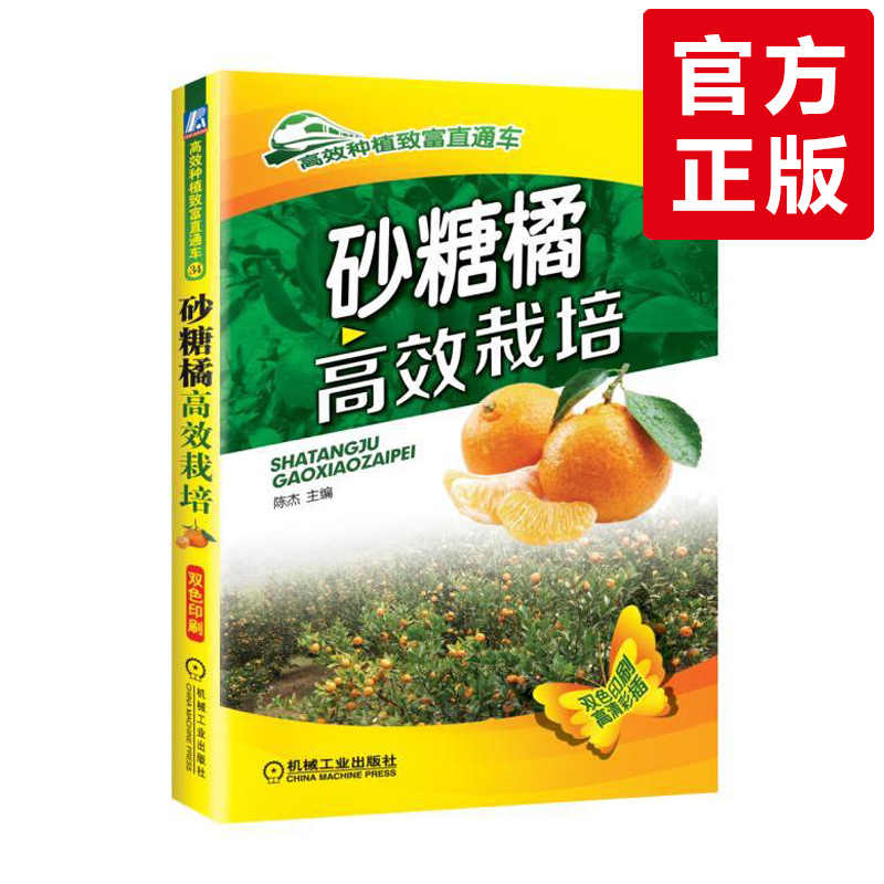 砂糖车 新人首单立减十元 22年2月 淘宝海外