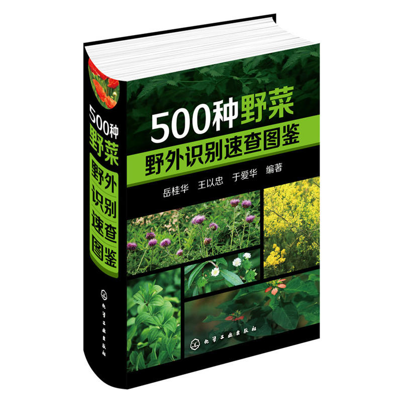 现货包邮】野菜图鉴大全500种野菜野外识别速查图鉴中国野菜野果植物菌类图鉴图谱一本通自然科学生物科学植物学健康饮食养生食谱 - 图3