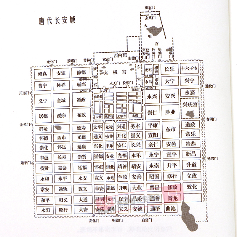 长安客 北溟鱼 大唐版人类群星闪耀时 李白杜甫王维白居易元稹柳宗元刘禹锡李商隐诗国闪耀的群星 长安城里忧伤的年轻人 文学书籍 - 图2