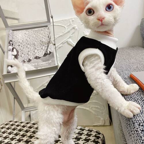 奶油是只无毛猫斯芬克斯德文宠物猫咪衣服纯棉无毛猫背心弹力包邮 - 图0