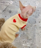 Сливки - это безволосая кошачья раковина