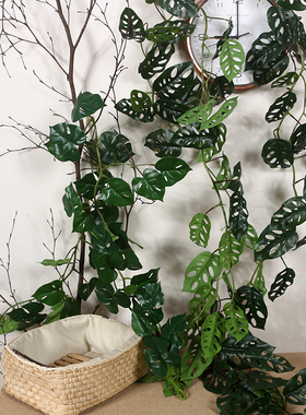 龟背叶绿色植物仿真藤条藤蔓