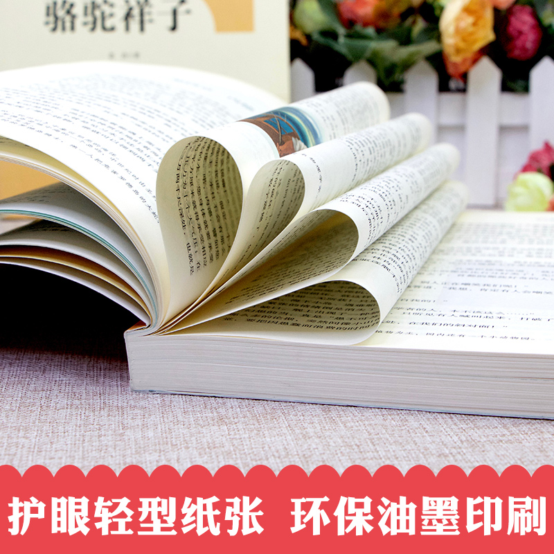 骆驼祥子海底两万里七年级必读正版书原著老舍下册课外书人民教育出版社初一课外阅读书籍老师推荐文学名著人教版完整版无删减-图0