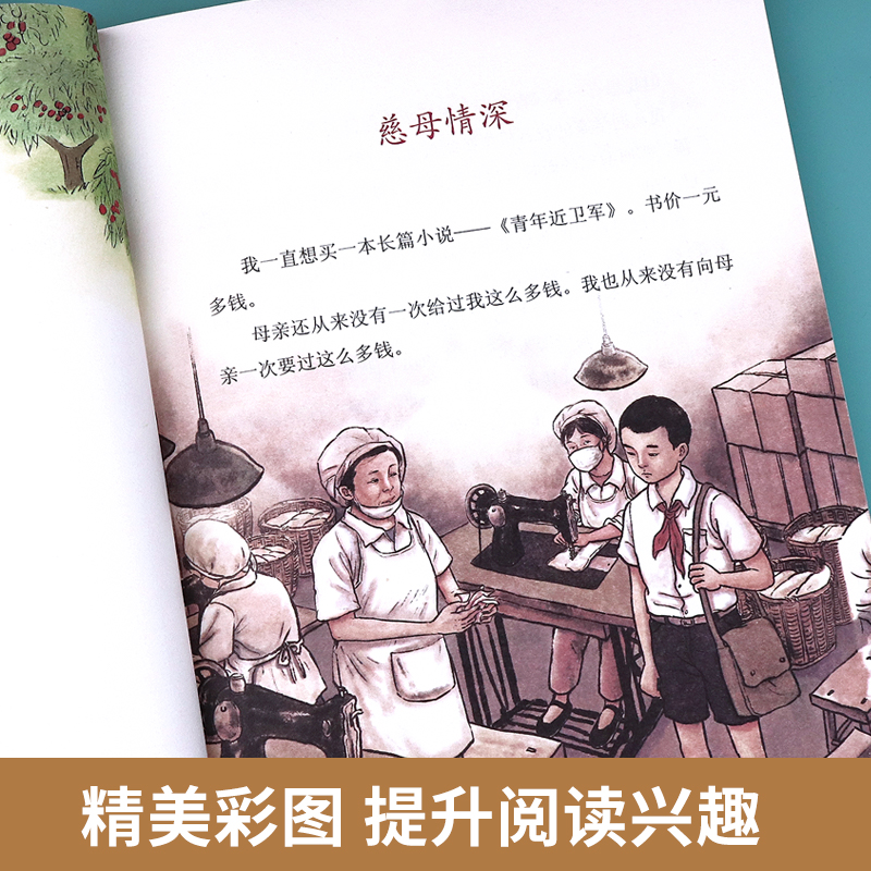 慈母情深五年级上册必读经典书目人教版梁晓声 5年级小学生课外书籍老师推荐同步拓展语文教材配套阅读儿童文学读物人民教育出版社 - 图2