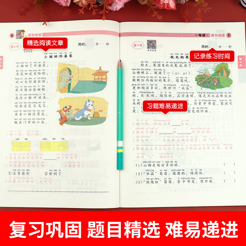 一升二暑假阅读理解看图写话每日一练小学一年级下册二年级衔接人教版1升2看图说话推荐语文课外阅读强化专项训练书老师阶梯好阅读