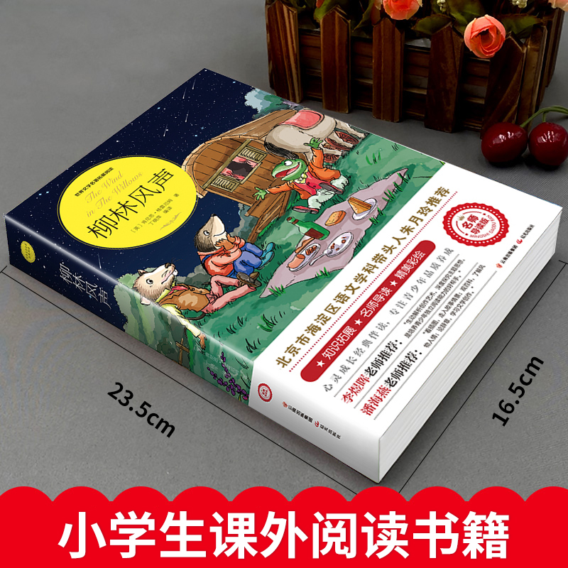 柳林风声爱丽丝漫游奇境绿野仙踪三四年级必读课外书经典正版书五六年级老师推荐木偶奇遇记青少年儿童故事书中小学生课外阅读书籍 - 图0