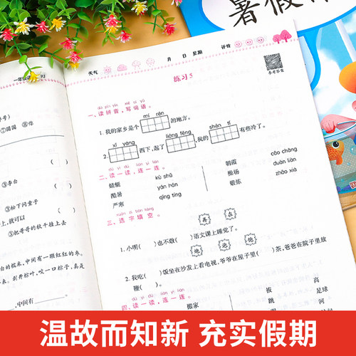 2025新版一年级暑假作业人教版一升二暑期衔接小学1年级下册语文数学练习册全套专项训练下学期2二年级试卷测试卷练习题天天练黄冈 - 图3