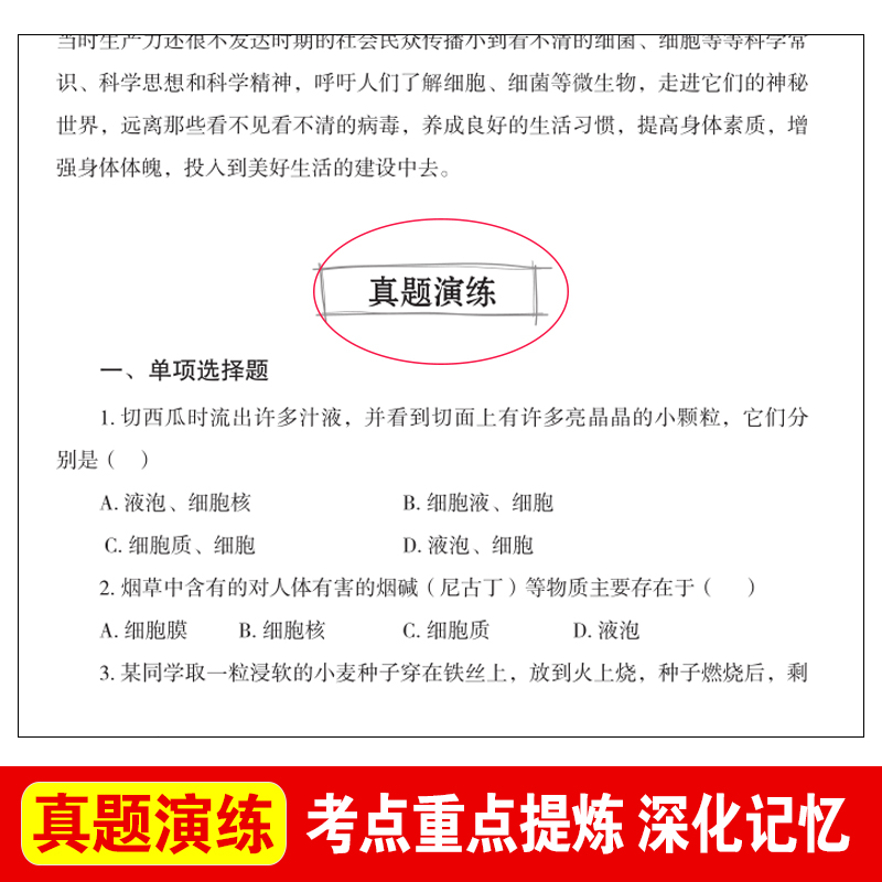 青铜葵花正版曹文轩小英雄雨来四年级下册细菌世界历险记高士其宝葫芦的秘密张天翼三年级阅读课外书必读书籍老师推荐经典人教小学-图2