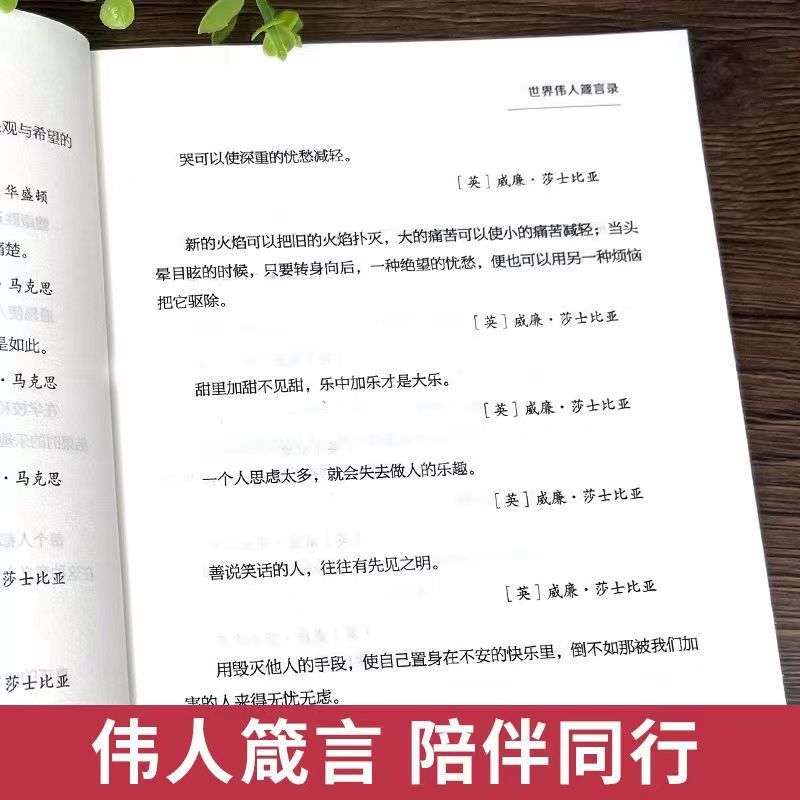 世界伟人箴言录+大智若愚的人生智慧+难得糊涂里的大智慧全3册正版书籍与圣贤对话智者同行成人励志书籍畅销书排行榜提升自己的书-图3