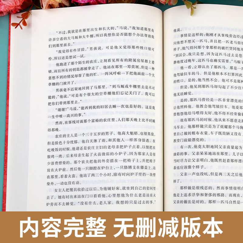 尼尔斯骑鹅旅行记原著正版人民文学出版社六年级下册必读课外书小学生课外阅读书籍6年级经典书目快乐读书吧推荐青少年读物-图1