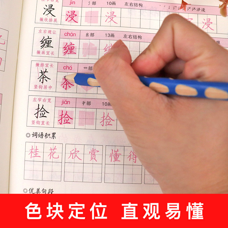 一笔好字 五年级上册字帖人教版同步课本生字硬笔书法练习汉字 罗杨描红本笔画笔顺练字帖 小学生5年级控笔训练写字帖儿童每日一练