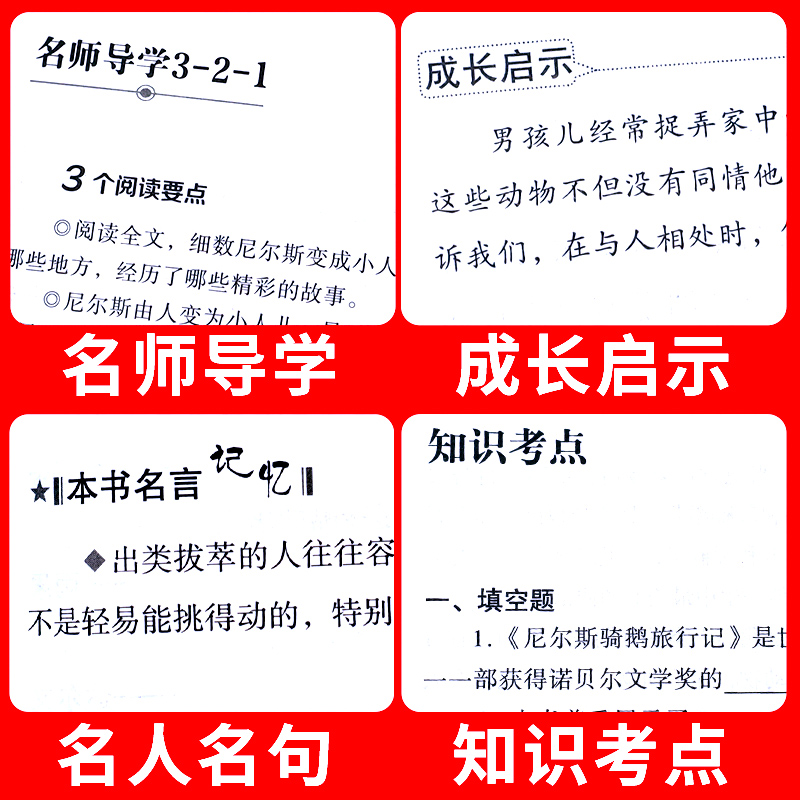 尼尔斯骑鹅旅行记原著正版六年级下册必读的课外书 老师推荐经典书目骑鹅旅行记 快乐读书吧小学6年级课外阅读书籍完整版适合读物 - 图3