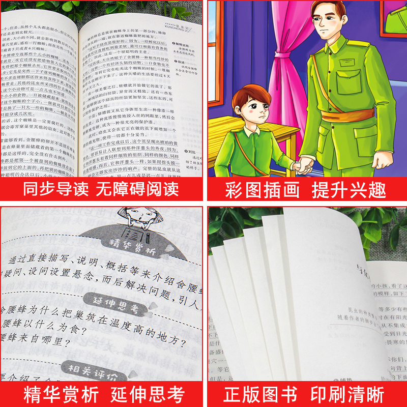 小桔灯冰心儿童文学全集正版 无障碍阅读版小学生课外阅读书籍 三年级四五六年级课外书必读散文集选三部曲繁星春水寄小读者小橘灯 - 图2