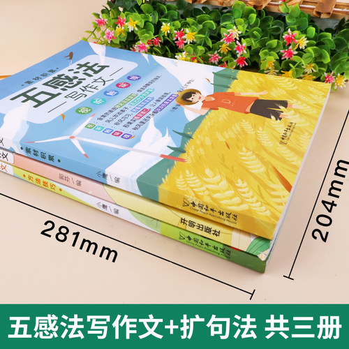 斗半匠五感法写作技巧与方法扩句法写作文三到六年级二五年级思维导图小学生语文上下册大百科大全四至六素材积累好词好句好段书籍 - 图0