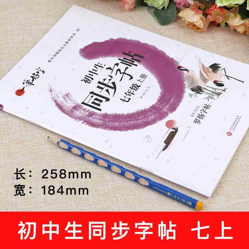 一笔好字七年级语文字帖上册同步课本笔画笔顺生字汉字练字帖描红写字神器每日一练控笔训练字帖练字初中生初一罗杨硬笔书法写字帖