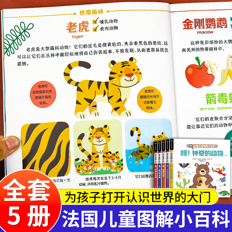 全套5册 法国引进宝宝启蒙认知早教书1一2-6岁4岁儿童科普绘本经典必读 动物认知书0到3岁早教书籍一两三岁幼儿阅读趣味图解小百科 - 图2