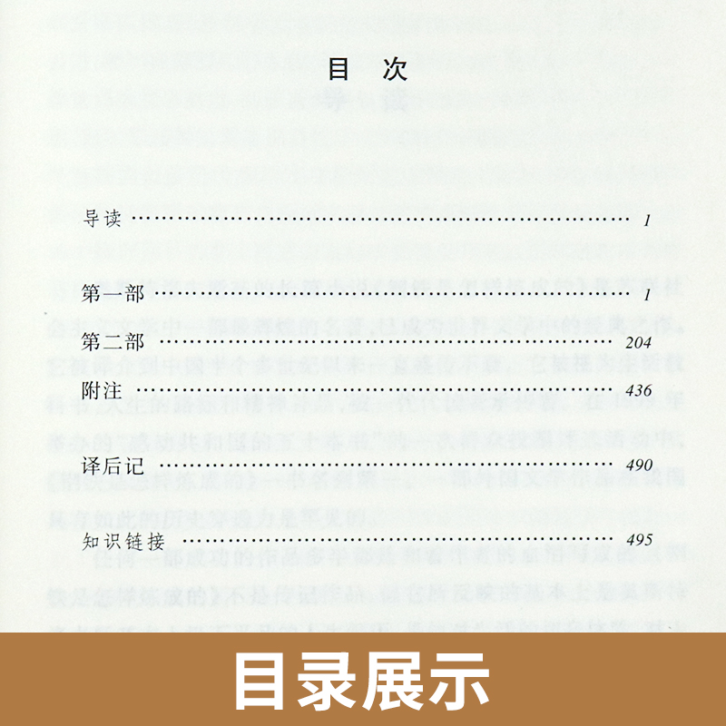 钢铁是怎样炼成的 初中正版原著人民文学出版社八年级下册初二初中生必读课外阅读书籍语文人教版8年级外国经典文学世界名著无删减 - 图0