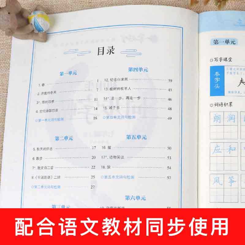 一笔好字七年级语文字帖上册同步课本笔画笔顺生字汉字练字帖描红写字神器每日一练控笔训练字帖练字初中生初一罗杨硬笔书法写字帖