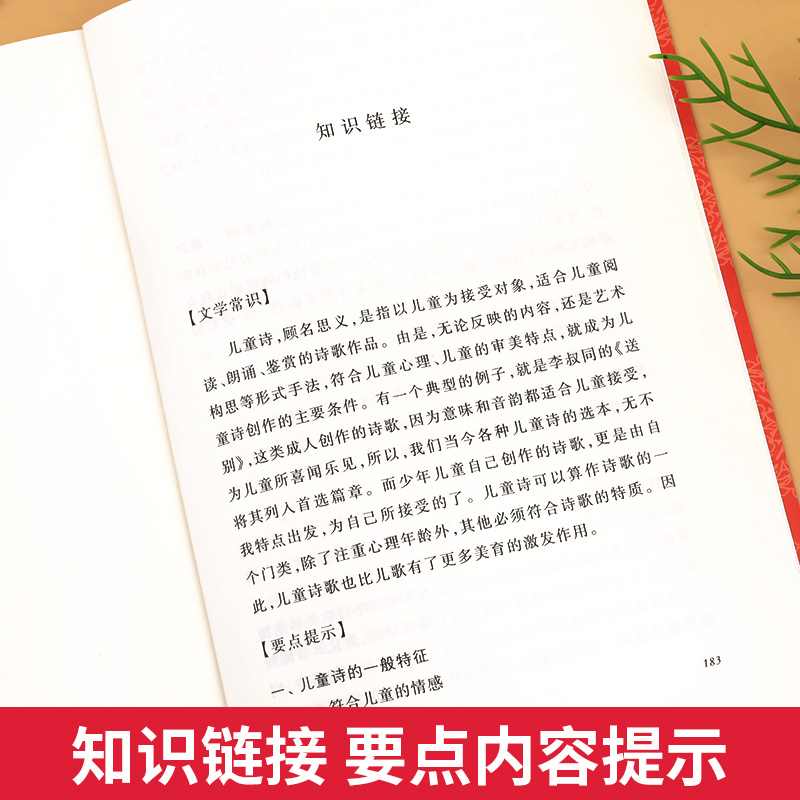 中国现当代儿童诗选正版原著人民文学出版社小学一二三四年级必读课外书中小学生课外拓展阅读语文老师推荐中国经典古诗词诗歌选集 - 图2