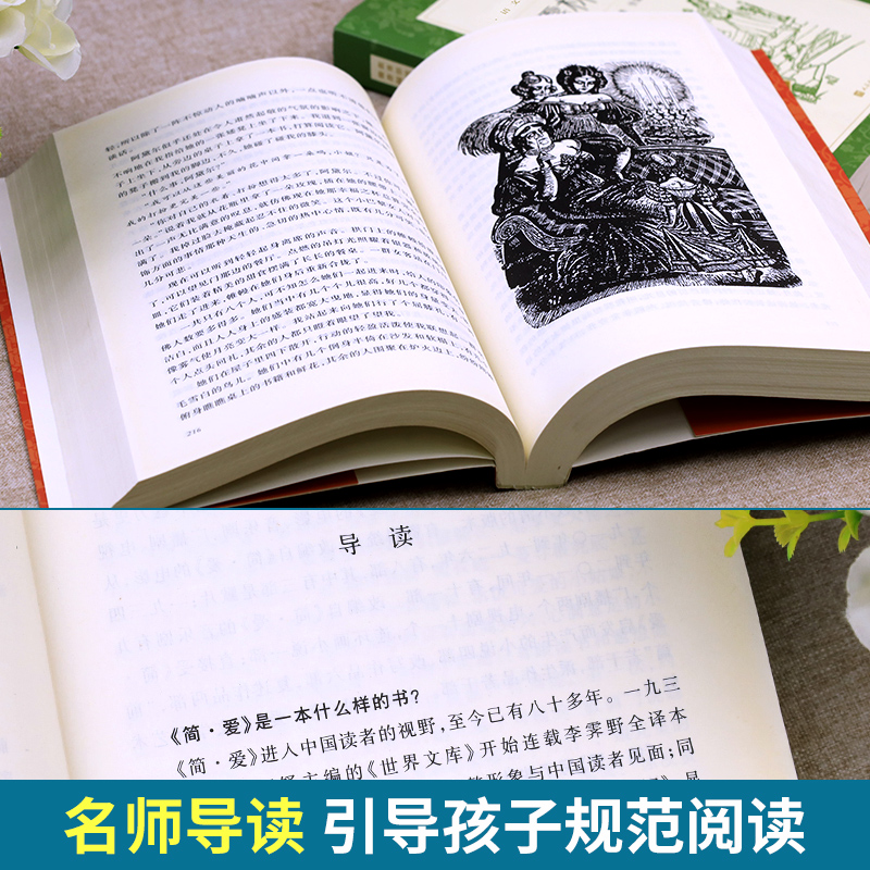 简爱人民文学出版社正版原著九年级下册必读课外书老师推荐适合青少年看的书外国小说初中生初三下语文阅读课外拓展 夏洛蒂 勃朗特 - 图1