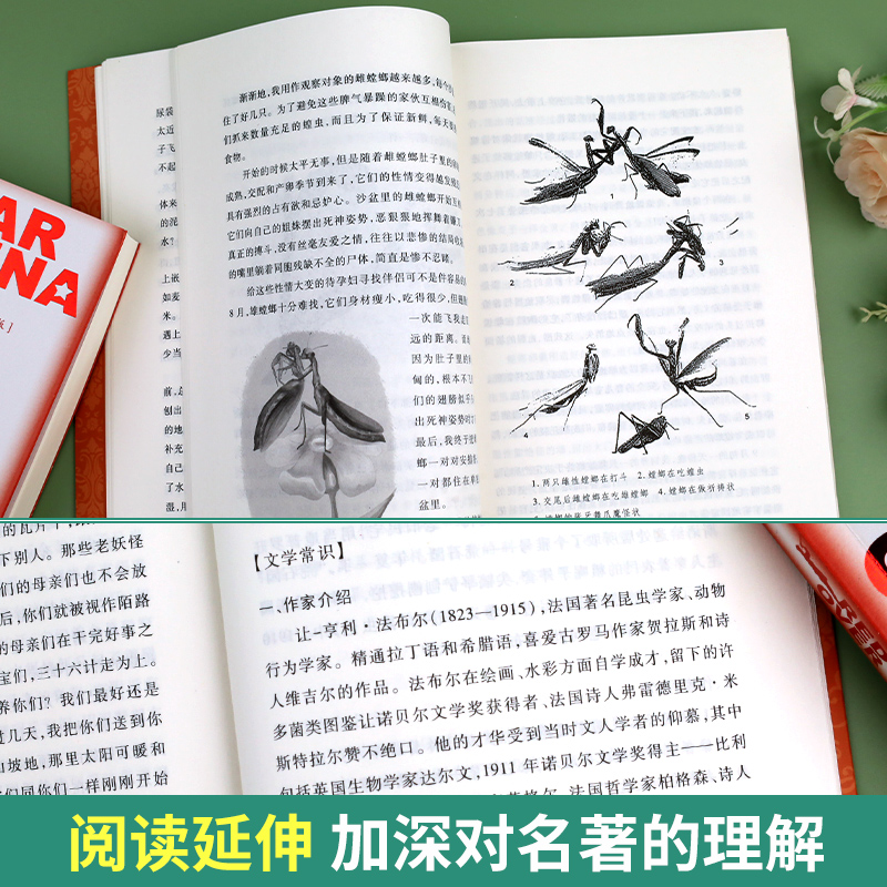 昆虫记人民文学出版社八年级必读课外书老师推荐法布尔正版原著完整版初二语文阅读初中生上册世界名著中学生阅读书目书籍青少年版 - 图2