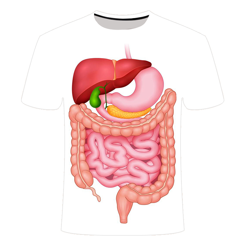 教学科普道具2025新3D印花创意cos服人体器官消化系统图案短袖T恤 - 图3