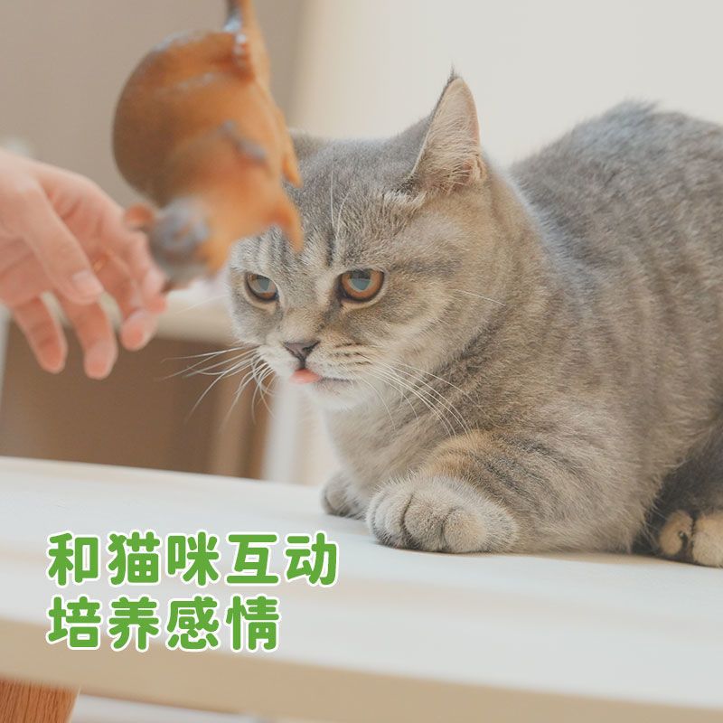 逗猫玩具软胶静态老鼠猫猫自嗨用品耐咬解闷神器调皮调皮猫的玩具 - 图1