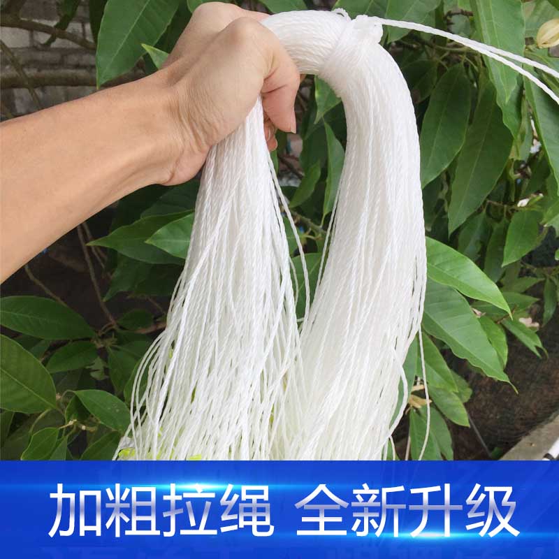 单层渔网进口北京粘网粗丝黄丝沉网捕鱼拉网挂网水库海网沾网包邮 - 图2