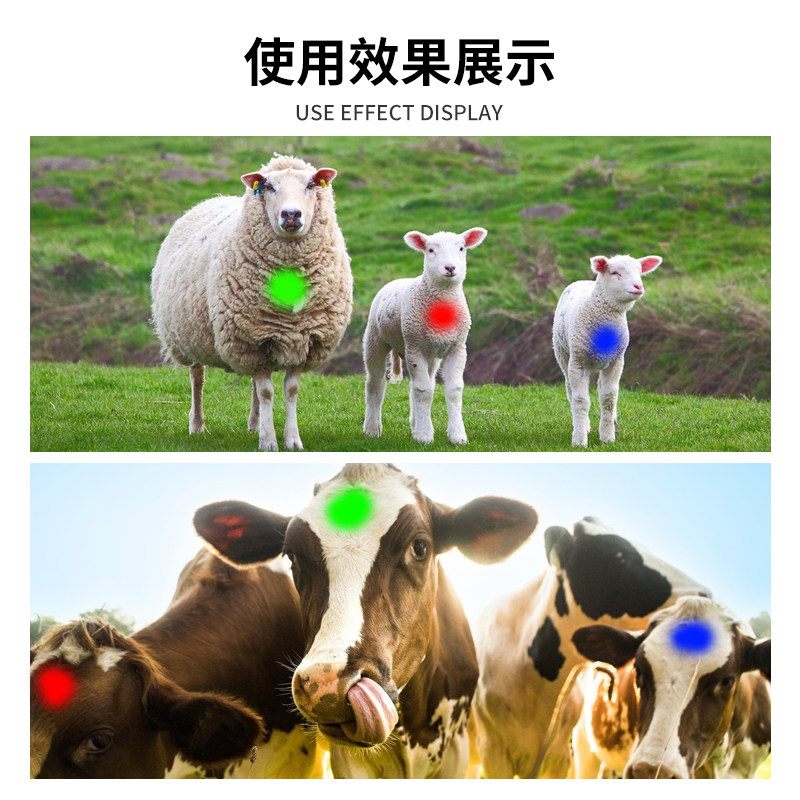 猪身记号喷雾剂鸡鸭牛羊家禽用动物身上喷漆兽用标记做记号养殖场,淘宝优惠券,粉丝福利购,淘宝优惠卷