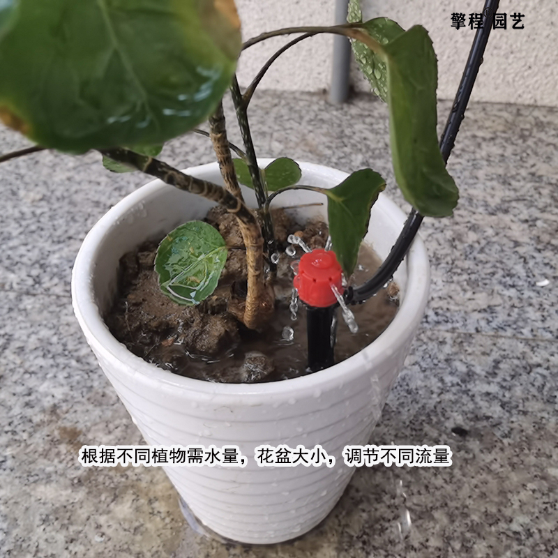 可调节喷淋洒水地插杆阳台花盆滴水滴灌喷头自动浇花器微喷淋喷头-图1