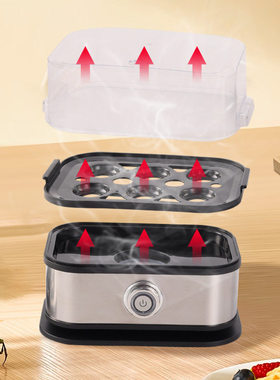 110V/220V便携迷你蒸蛋器