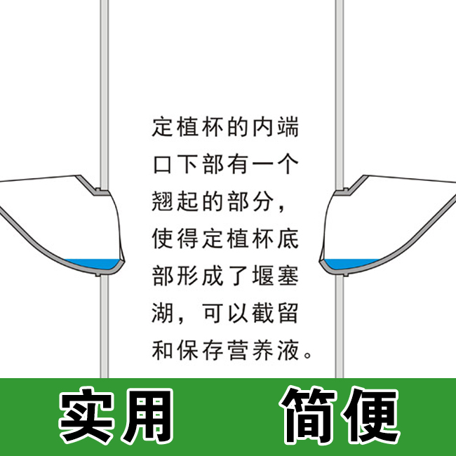 立柱定植杯蓝家庭管道气雾机培设备无土栽培蔬菜水培阳台种菜设备-图1