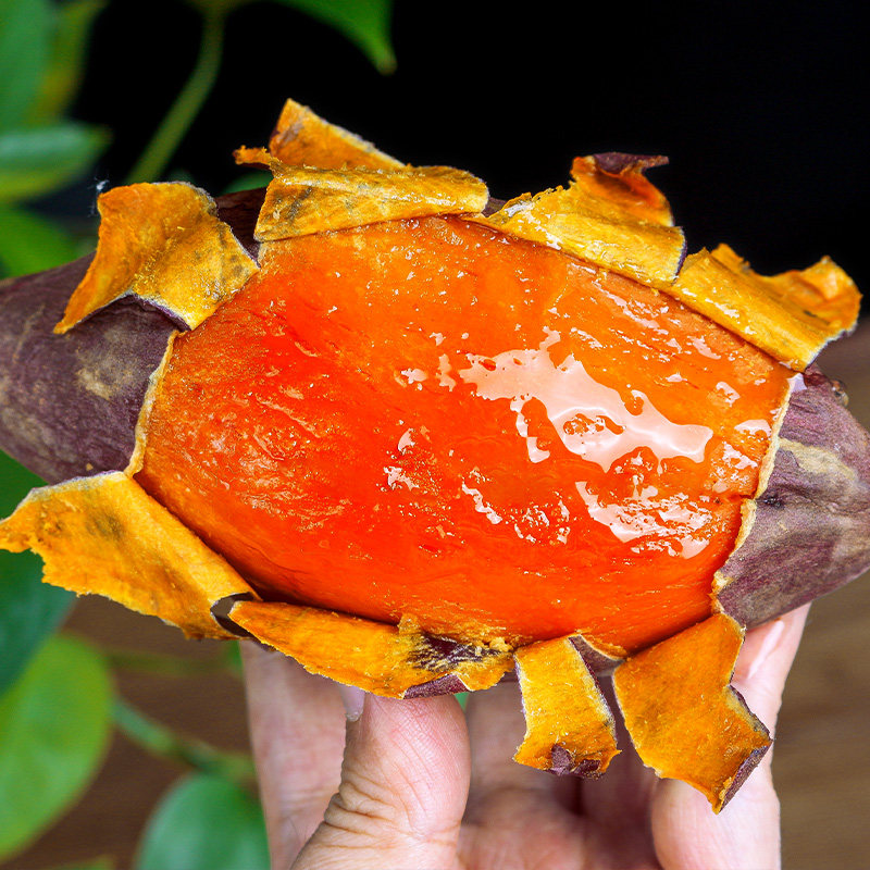 新鲜10斤蜜薯糖心西瓜红板栗烤番薯 喜人喜食品番薯