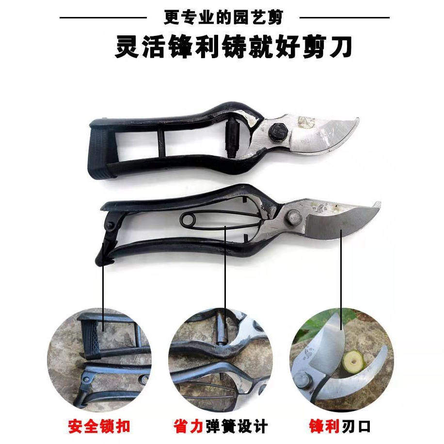 望儿山牌果枝剪老式锻打修枝剪省力园林绿化工具园艺摘果强力剪刀,淘宝优惠券,粉丝福利购,淘宝优惠卷