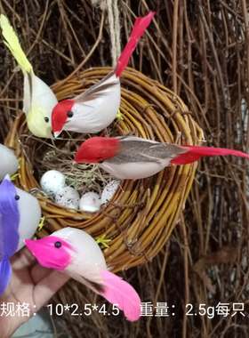 摆件羽毛教学鸟窝麻雀鹦鹉鸽子