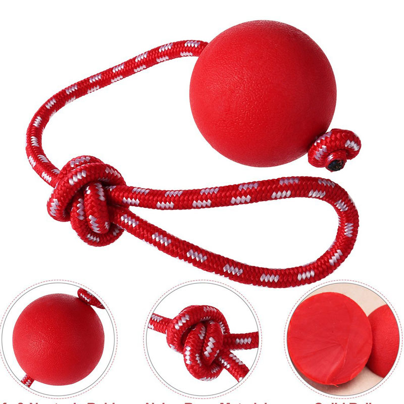 SuppliesHorseDog TrainingPet TrainingDog TrainingDog Training