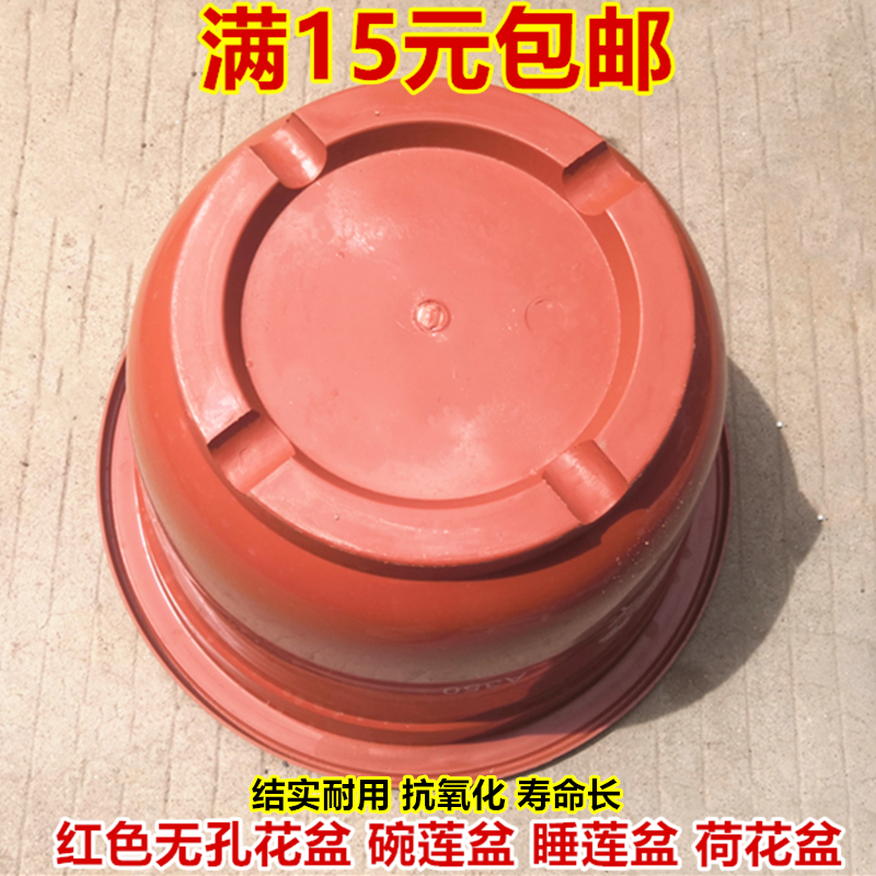 红色白色睡莲盆碗莲盆 塑料 无孔花盆不漏水大号水培荷花水生花卉