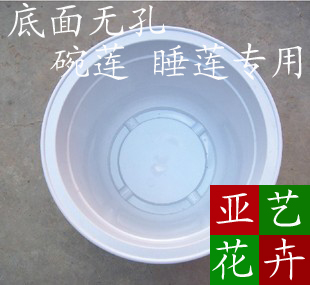 碗莲盆睡莲盆 塑料无孔花盆 不漏水大号圆形水培荷花植物水生花卉