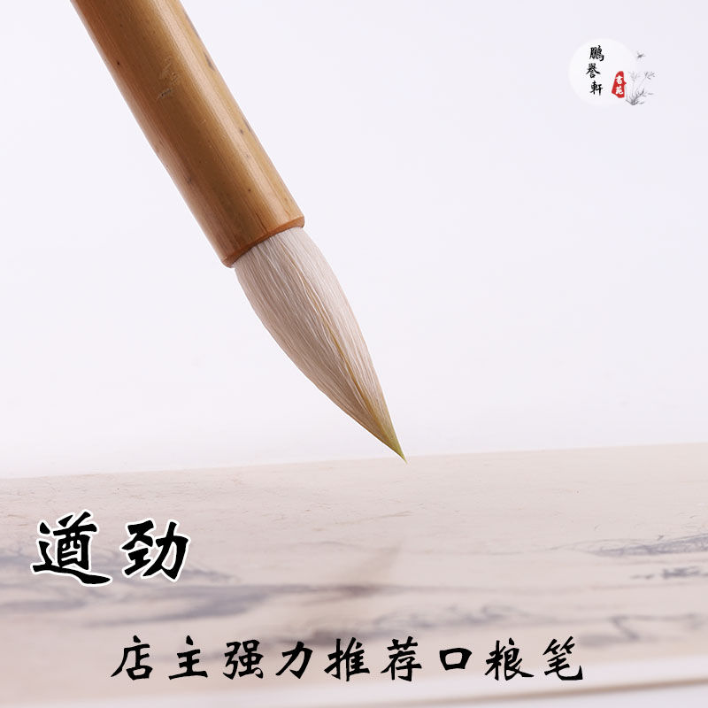 鹏誉轩【遒劲】专业级狼羊兼毫毛笔套装初学者大中小楷书法练习用