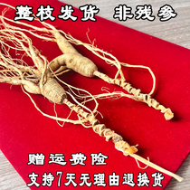 30 years of forest for Changbai Mountain wild Mountain ginseng Tohoku Qianginseng and others Ginseng Soak in Wine Pot soup Shunfeng