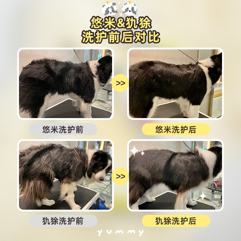 isb伊珊娜意大利进口经典宠物美毛浴液犬猫洗护香波护毛素沐浴露 - 图2