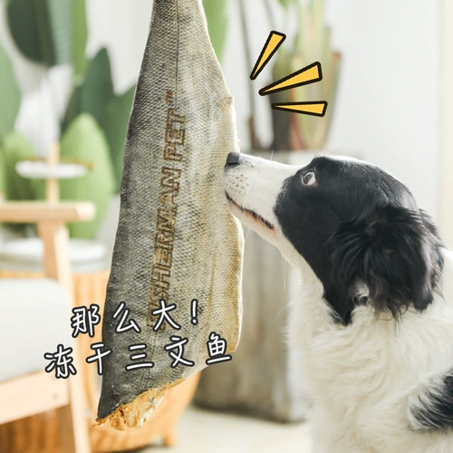 Рыбацкий рыбак Рыба Ранчо Рыбац