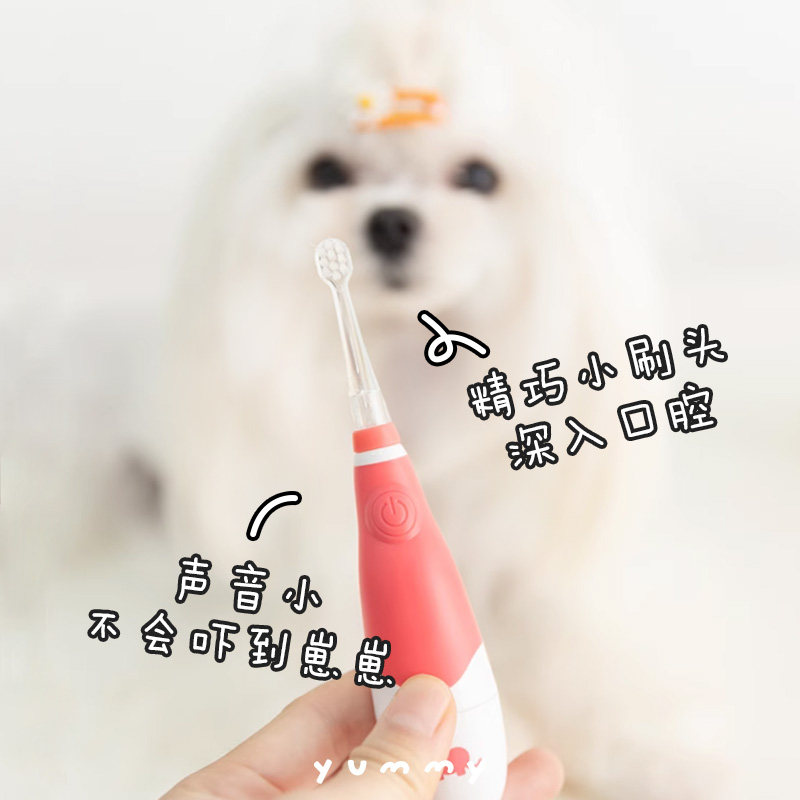 赛嘉宠物电动牙刷 猫咪狗狗口腔清洁牙结石幼犬去除口臭刷牙神器,淘宝优惠券,粉丝福利购,淘宝优惠卷