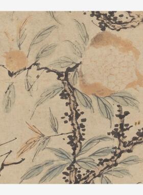 11明唐寅(传)石榴枝