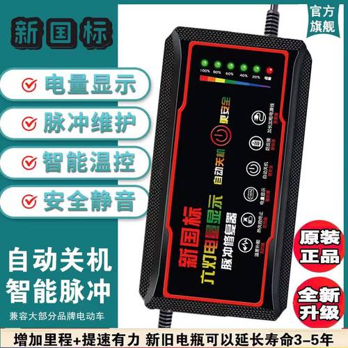 自动断电铅酸智能电动车电瓶车充电器48V60V72V8万能通用两轮三轮 - 图1